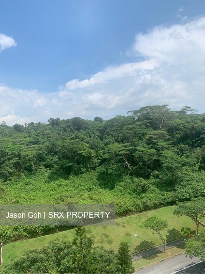 Blk 289A Bukit Batok Street 25 (Bukit Batok), HDB Executive #211938151